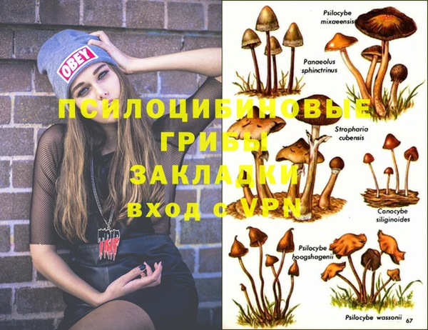mix Алексин