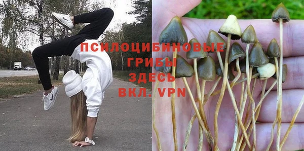 mix Алексин