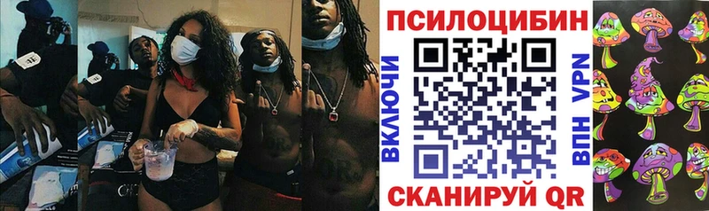 Галлюциногенные грибы MAGIC MUSHROOMS  Владивосток 
