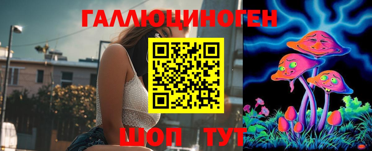 закладки  Псилоцибиновые грибы Psilocybine cubensis  Вход с VPN  Владивосток 